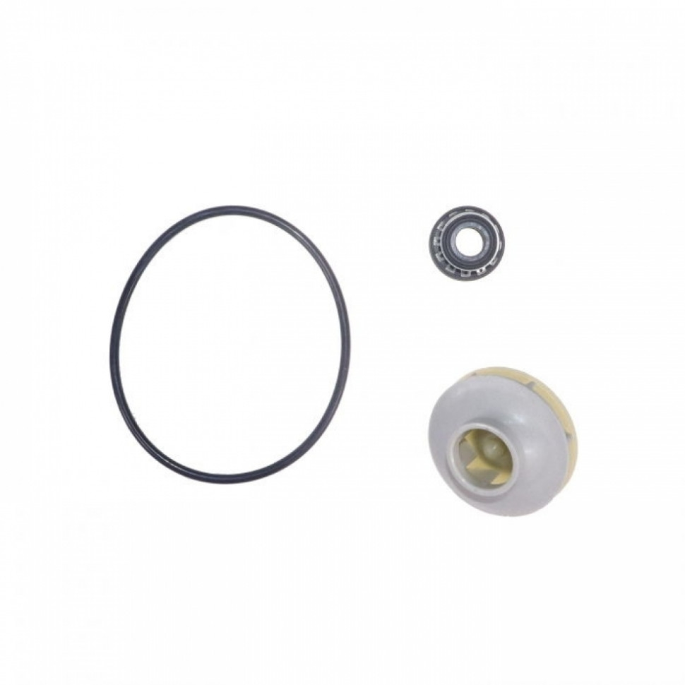 Ремкомплект помпы для посудомоечной машины Bosch, Siemens, 419027